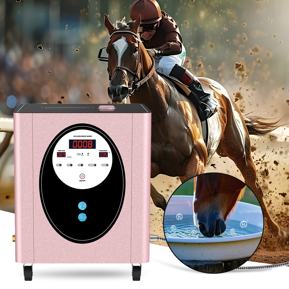 SUYZEKO Whole House Hydrogen W - Health Wellness And Spa 评论和价格