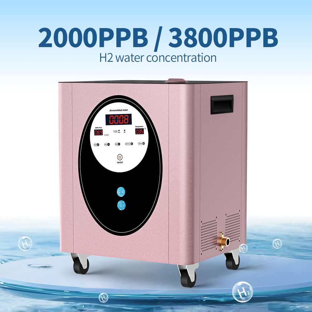 SUYZEKO Whole House Hydrogen W - Health Wellness And Spa 评论和价格